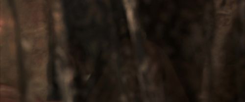 Click to view full size image
==============
CS-Potterish_06998.jpg CS-Potterish_06998.jpg