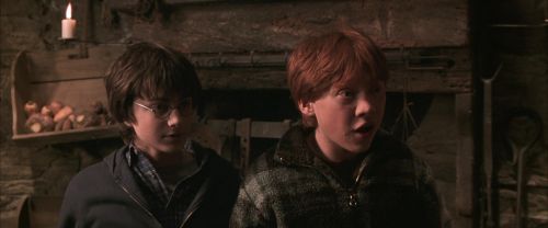 CS-Potterish_07006.jpg