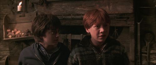 CS-Potterish_07007.jpg