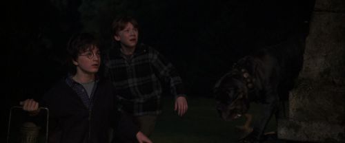 CS-Potterish_07042.jpg