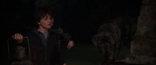 CS-Potterish_07043.jpg