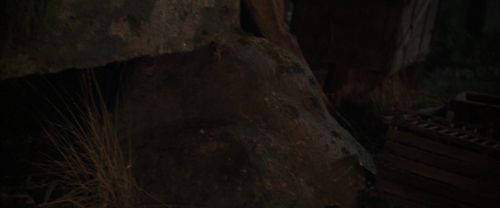 CS-Potterish_07054.jpg