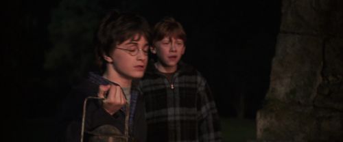 CS-Potterish_07062.jpg