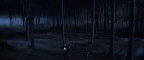 CS-Potterish_07082.jpg