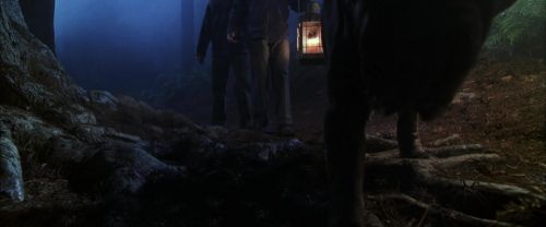 CS-Potterish_07094.jpg