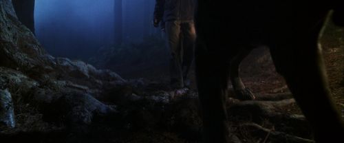CS-Potterish_07095.jpg