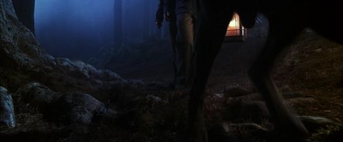 CS-Potterish_07096.jpg