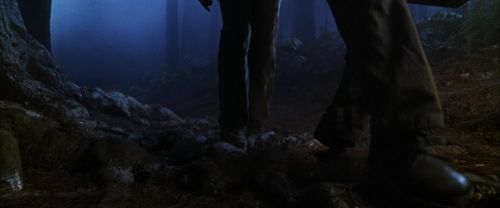 CS-Potterish_07099.jpg