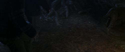 CS-Potterish_07109.jpg