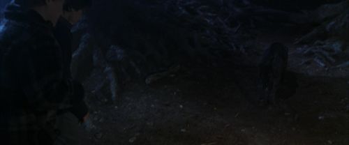 Click to view full size image
==============
CS-Potterish_07110.jpg CS-Potterish_07110.jpg