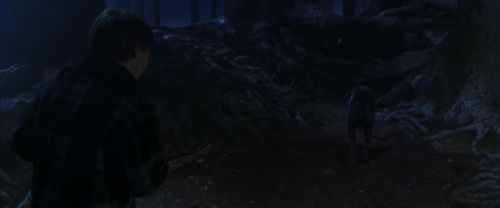 Click to view full size image
==============
CS-Potterish_07111.jpg CS-Potterish_07111.jpg