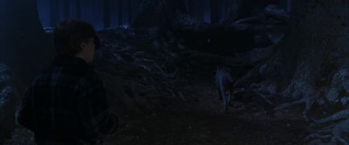 Click to view full size image
==============
CS-Potterish_07112.jpg CS-Potterish_07112.jpg