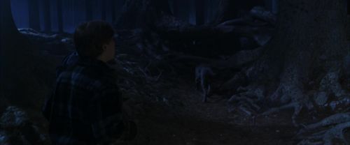 CS-Potterish_07113.jpg