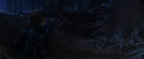 Click to view full size image
==============
CS-Potterish_07114.jpg CS-Potterish_07114.jpg