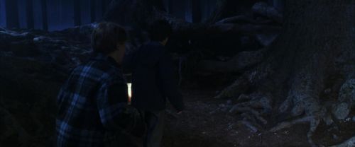 CS-Potterish_07116.jpg