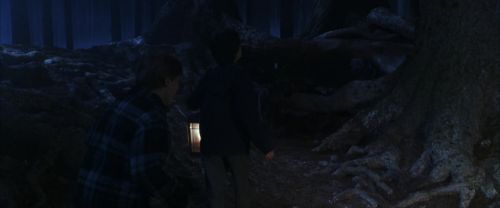 CS-Potterish_07117.jpg