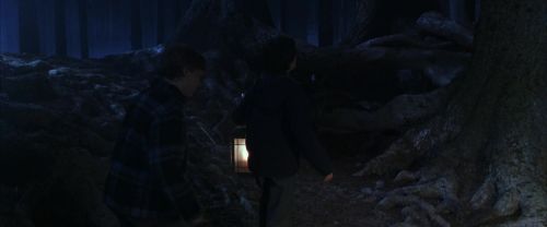 CS-Potterish_07118.jpg