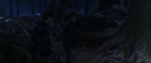 CS-Potterish_07119.jpg