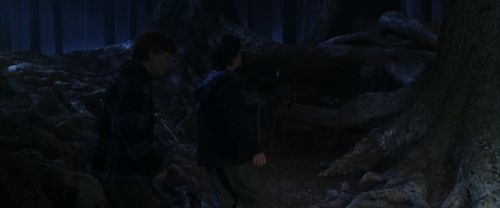 CS-Potterish_07120.jpg
