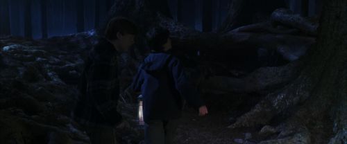 Click to view full size image
==============
CS-Potterish_07121.jpg CS-Potterish_07121.jpg