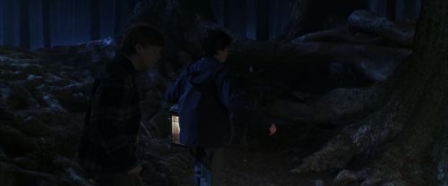 CS-Potterish_07122.jpg