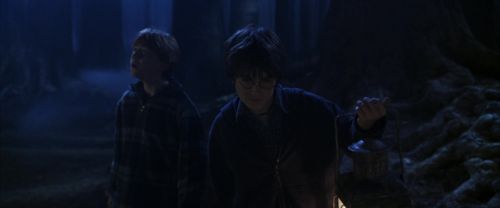CS-Potterish_07123.jpg