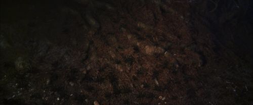 CS-Potterish_07126.jpg