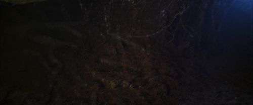 Click to view full size image
==============
CS-Potterish_07127.jpg CS-Potterish_07127.jpg