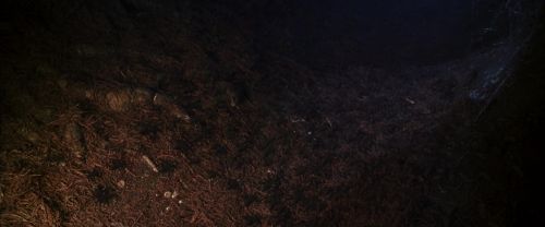 Click to view full size image
==============
CS-Potterish_07135.jpg CS-Potterish_07135.jpg