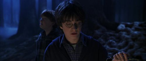 CS-Potterish_07136.jpg