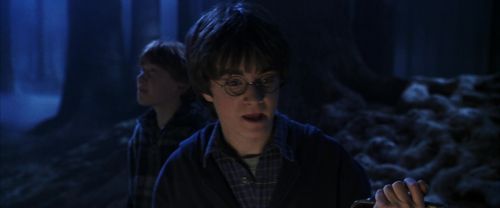 CS-Potterish_07137.jpg