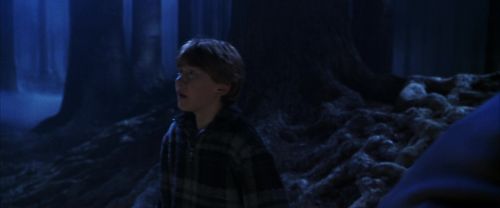 Click to view full size image
==============
CS-Potterish_07139.jpg CS-Potterish_07139.jpg
