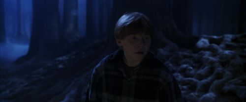 CS-Potterish_07140.jpg