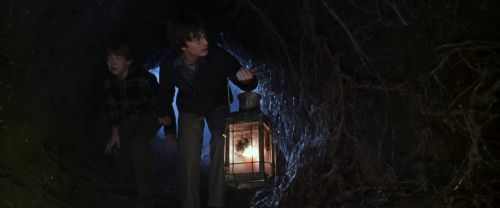Click to view full size image
==============
CS-Potterish_07149.jpg CS-Potterish_07149.jpg