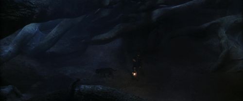 CS-Potterish_07176.jpg