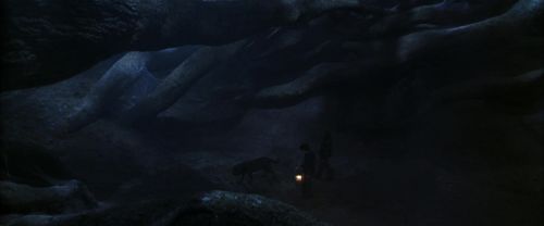 CS-Potterish_07178.jpg