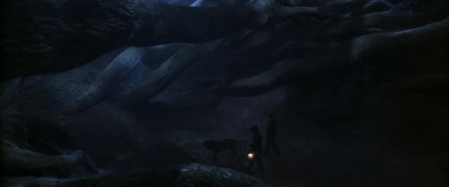 Click to view full size image
==============
CS-Potterish_07179.jpg CS-Potterish_07179.jpg