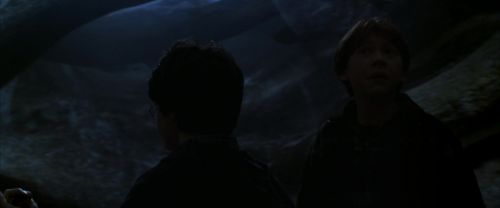 CS-Potterish_07182.jpg