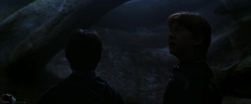 CS-Potterish_07183.jpg