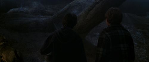 Click to view full size image
==============
CS-Potterish_07185.jpg CS-Potterish_07185.jpg
