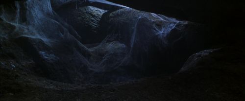 CS-Potterish_07204.jpg