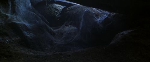 CS-Potterish_07205.jpg