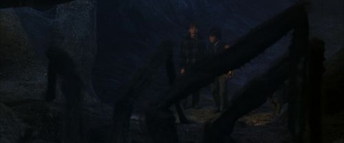 CS-Potterish_07216.jpg