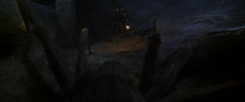 CS-Potterish_07225.jpg