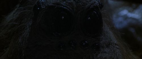 CS-Potterish_07233.jpg