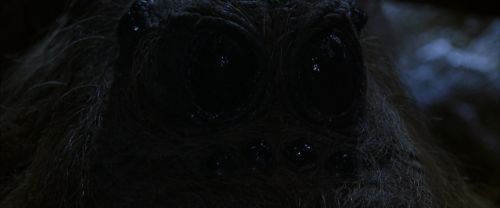 CS-Potterish_07234.jpg