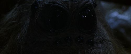 CS-Potterish_07235.jpg