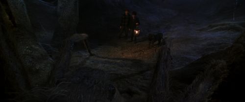 CS-Potterish_07237.jpg