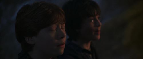 CS-Potterish_07241.jpg