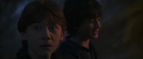 CS-Potterish_07242.jpg